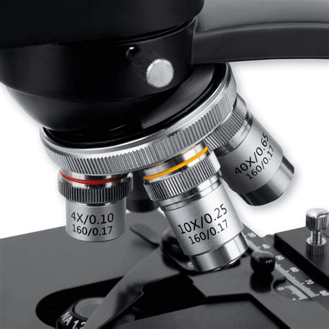 objective on a microscope|Everything About Microscope Objectives – Carson .